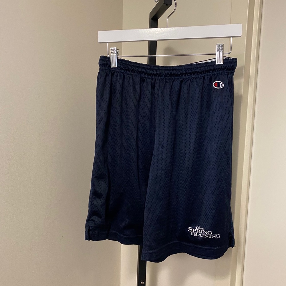 VINTAGE Champion Disney Spring Training Shorts